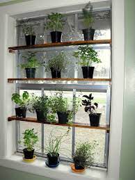 Old Home Owner Running Around Town Home Owner Plantskitchenwindow Running Town Kitchen Garden Window Window Shelf For Plants Indoor Window Garden