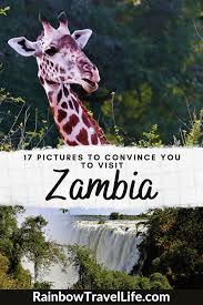 17 Pictures To Convince You To Visit Zambia In 2020 Africa Travel Africa Travel Guide Zambia
