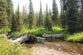 The hike to it is not particularly strenuous, but is a bit long for a day hike. Union Falls Unique Waterfall In Yellowstone S Bechler Area
