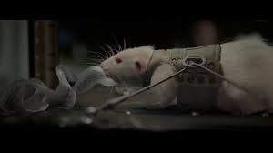 Posts about life calvin written by john leavengood. Life 2017 Calvin The Baby Monster First Attack And Escape Fhd Youtube