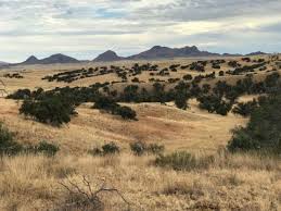 The latin word terra (the root of terrain) means earth.. Lovely Grassy Terrain Picture Of Arizona Horseback Experience Sonoita Tripadvisor