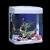 Creative Fish Tank Decoration Idea