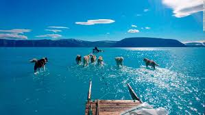 !watch or download greenland #fullmovie online free (2020) | here  streamdb.net/7737786#rkf2hat . Climate Change Scientists Find Another Threat To Greenland S Glaciers Lurking Beneath The Ice Cnn