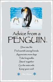 My biggest regret is being naive enough in thinking that what happened is. Penguin Penguin Quotes Penguins Penguin Love