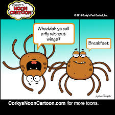 Trade approved, local pest control team. Pin On Cards