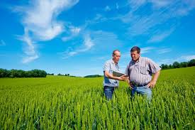 Offre Emploi Technico Commercial Agricole La Reunion 97 Recrutement En Cdi Par Groupe Roullier Jobtrotter