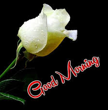Pin On Beautiful Nature