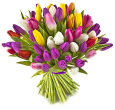 Alcuni fiori comuni sono utilizzati in giardino mentre altri tipi di fiori sono ideali per i bouquet o per gli. Insieme Di Fiori Nome Collettivo