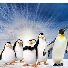 Meanwhile, there's actually an animal in north america alone there are five known species of such frogs, the most common of which is the wood frog. Why Do Penguins Live In The South Pole Atctic Ice Antarctic Animals Facts