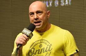 In his early teenage years, joe began to practice martial arts and at the age of fourteen, he took up karate. Joe Rogan Biography Age Wiki Height Weight Girlfriend Family More