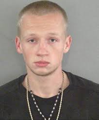 Man who drop kicked mother's cat back behind bars after violating probation 