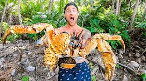 However there are documented reports that say they have reached more than. Giant Coconut Crab In Search Of The Biggest Crab In The World Youtube