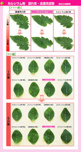ファイトシリーズ アグリマート シミズ