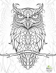 This high quality transparent png images is totally free on pngkit. Adley Coloring Pages Learny Kids