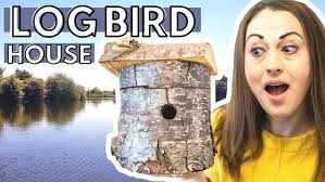 How to make a Bird Box (Bird House) from a log