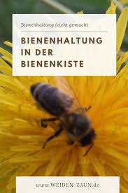 Die Bienenkiste Bienenkiste Bienen Und Bienenhaltung