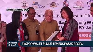 / store your funds in a security audited app. Ekspor Sarang Burung Walet Sumut Tembus Pasar Eropa Video Dailymotion