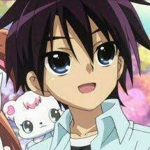 epingle sur les jewelpets