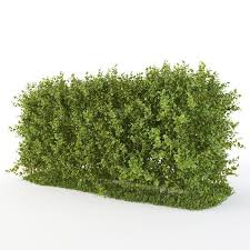 Pin On Terrain