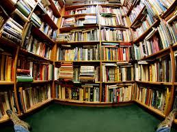 Image result for fisheye