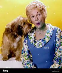 Dog, Bea Benaderet, Petticoat Junction, 1963 Stock Photo - Alamy