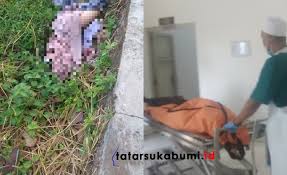 Lowongan kerja damkar depok about dinas pemadam kebakaran pemadam kebakaran, branwir, pmk, damkar officer or official who is trained and tasked to combat. Kasus Pembunuhan Gadis Cantik Asal Cianjur Masih Misteri