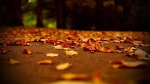 Enjoy and share your favorite beautiful hd wallpapers and background images. Fall Aesthetic Wallpapers Pixelstalk Net