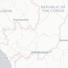 Image result for Pachylobus osika