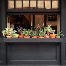 Interior design | total words: If I Find In Myself Desires Which Nothing In This World Can Satisfy The Only Logical Explanation Is Plants Window Box Home And Garden
