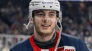 Straubing Tigers: Eder und Vogl gehen