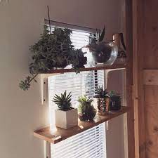 Window Plant Shelves Fox On An Island Window Shelf For Plants Window Plants Plant Shelves
