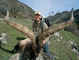 Image result for ibex