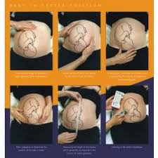 Antenatal Check Chart
