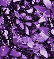 Black And Purple Butterfly Purple And Black Re Blogger Purple Butterfly All Things Purple Purple Aesthetic