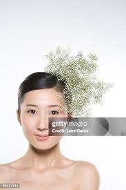 4,688 Baby Flowers Stock Photos, High-Res Pictures, and Images