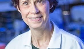 Sandra Zinkel, M.D./Ph.D.