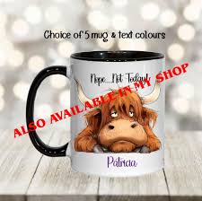 Highland Cow Cushion , Personalised , Gift