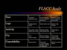 Image result for FLACC Scale