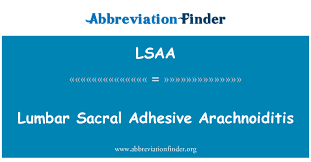 L'aracnoidite è una condizione infiammatoria dell'aracnoide, una delle membrane note come meningi che circondano e proteggono i nervi del sistema nervoso centrale, inclusi il cervello e il midollo spinale. Definicao De Lsaa Lombar Sacral Aracnoidite Adesiva Lumbar Sacral Adhesive Arachnoiditis