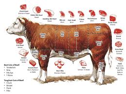 It's also where the most expensive cut of beef is located: Best Cuts Of Steak Best To Worst Ranking The Grubwire