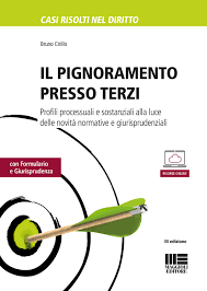 Modello di pignoramento presso terzi. Pignoramento Presso Terzi Ex Art 543 C P C