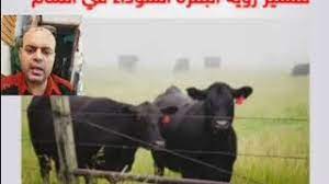 تفسير حلم الساعة في المنام تفسير حلم الساعه للحاىط للحامل والعزباء والمتزوجة. ØªÙØ³ÙŠØ± Ø±Ø¤ÙŠØ© Ø§Ù„Ø¨Ù‚Ø±Ø© Ø§Ù„Ø³ÙˆØ¯Ø§Ø¡ ÙÙŠ Ø§Ù„Ù…Ù†Ø§Ù… Ø´Ø±Ø¨ Ù„Ø¨Ù† Ø§Ù„Ø¨Ù‚Ø± Ù„Ø§Ø¨Ù† Ø³ÙŠØ±ÙŠÙ† ØªÙØ³ÙŠØ± Ø§Ù„Ø£Ø­Ù„Ø§Ù… Ù…Ø­Ù…ÙˆØ¯ Ø£Ø­Ù…Ø¯ Ù…Ù†ØµÙˆØ± Youtube
