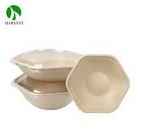 Hexagon Pulp Food Salad Bowl - CBH Series