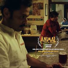 Animal Film Fest 2023: un recuento