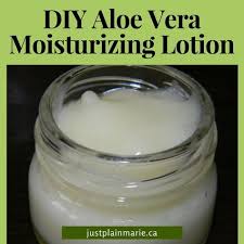Aloe Vera Lotion To Moisturize Your Face Naturally Aloe Vera Lotion Aloe Vera Moisturizer Moisturizer