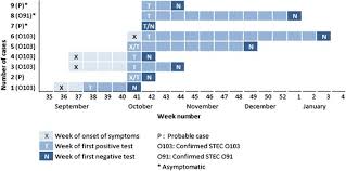 Coli (stec) infection vary for each person, but often include severe stomach cramps, diarrhea (often bloody), and vomiting. Implications Of Screening And Childcare Exclusion Policies For Children With Shiga Toxin Producing Escherichia Coli Infections Lessons Learned From An Outbreak In A Daycare Centre Norway 2012 Bmc Infectious Diseases Full Text