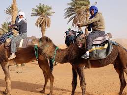 The bus(supratours) depart from fes to merzouga daily at 22:00 night and arrive a merzouga at 06:00 morning. Camel Ride And 1 Night In The Desert