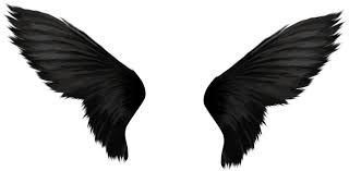 Flip wings back over and, working inward from the outside, apply hot glue to foam core then attach small, fluffy craft feathers to cover larger feather points and add a downy texture (image 1). Second Life Marketplace Black Angel Wings Picture