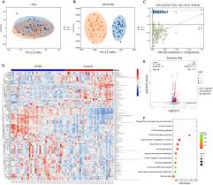 Frontiers | Multi-omics approach to reveal follicular metabolic changes and  their effects on oocyte competence in PCOS patients