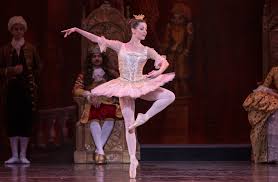Meet the Characters of Sleeping Beauty | BalletMet
